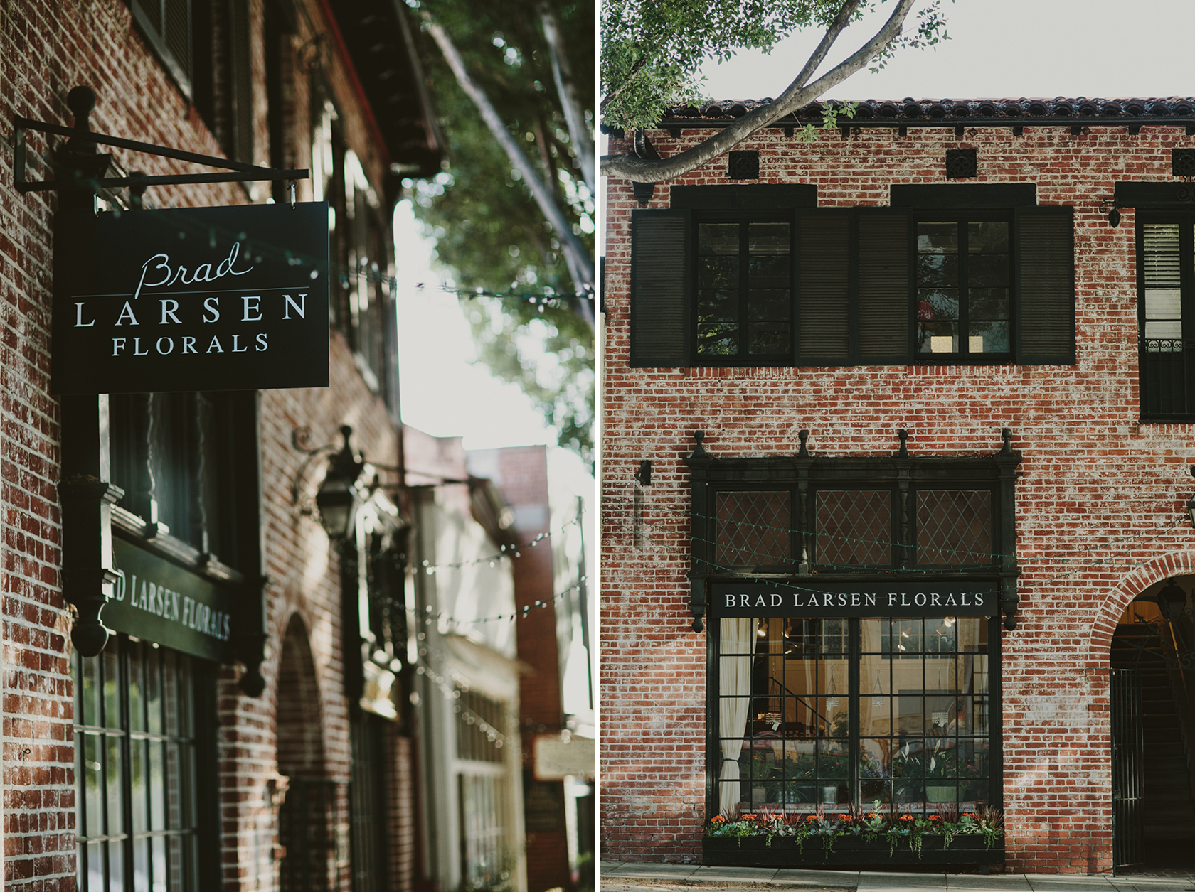 Information Pasadena Florist Brad Larsen Florals