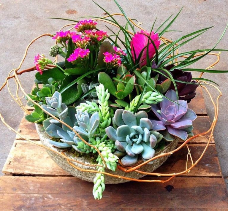 Succulent Garden in Stone Bowl with Color floral arrangement Pasadena CA