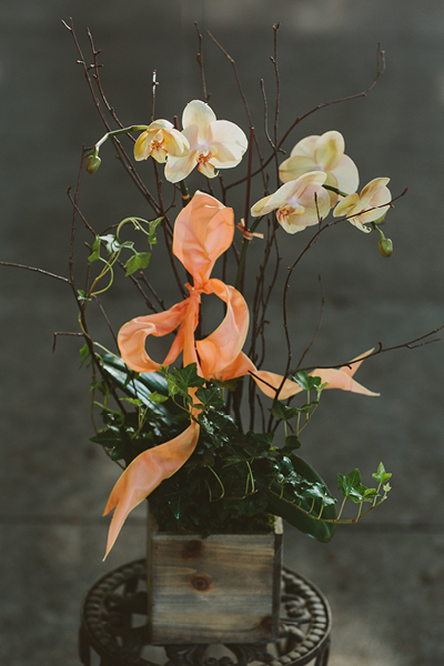 Colorful Orchid Garden with Trailing Ivy floral arrangement - florist Pasadena CA