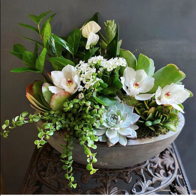Succulent Love Bowl - florist Pasadena CA