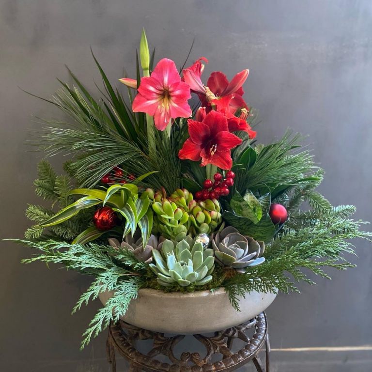 Holiday Succulent Garden floral arrangement florist Pasadena CA