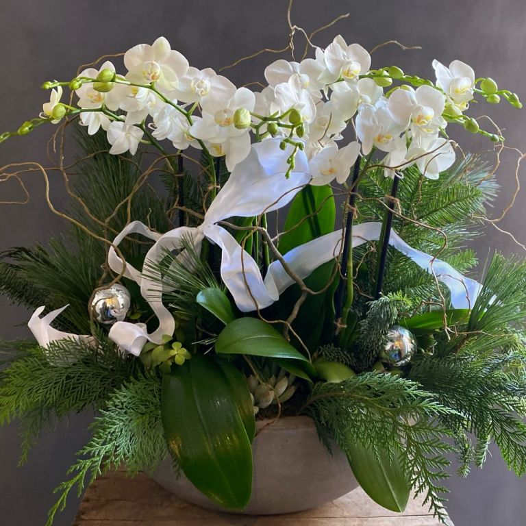 Orchid Holiday Elegance floral arrangement florist Pasadena CA